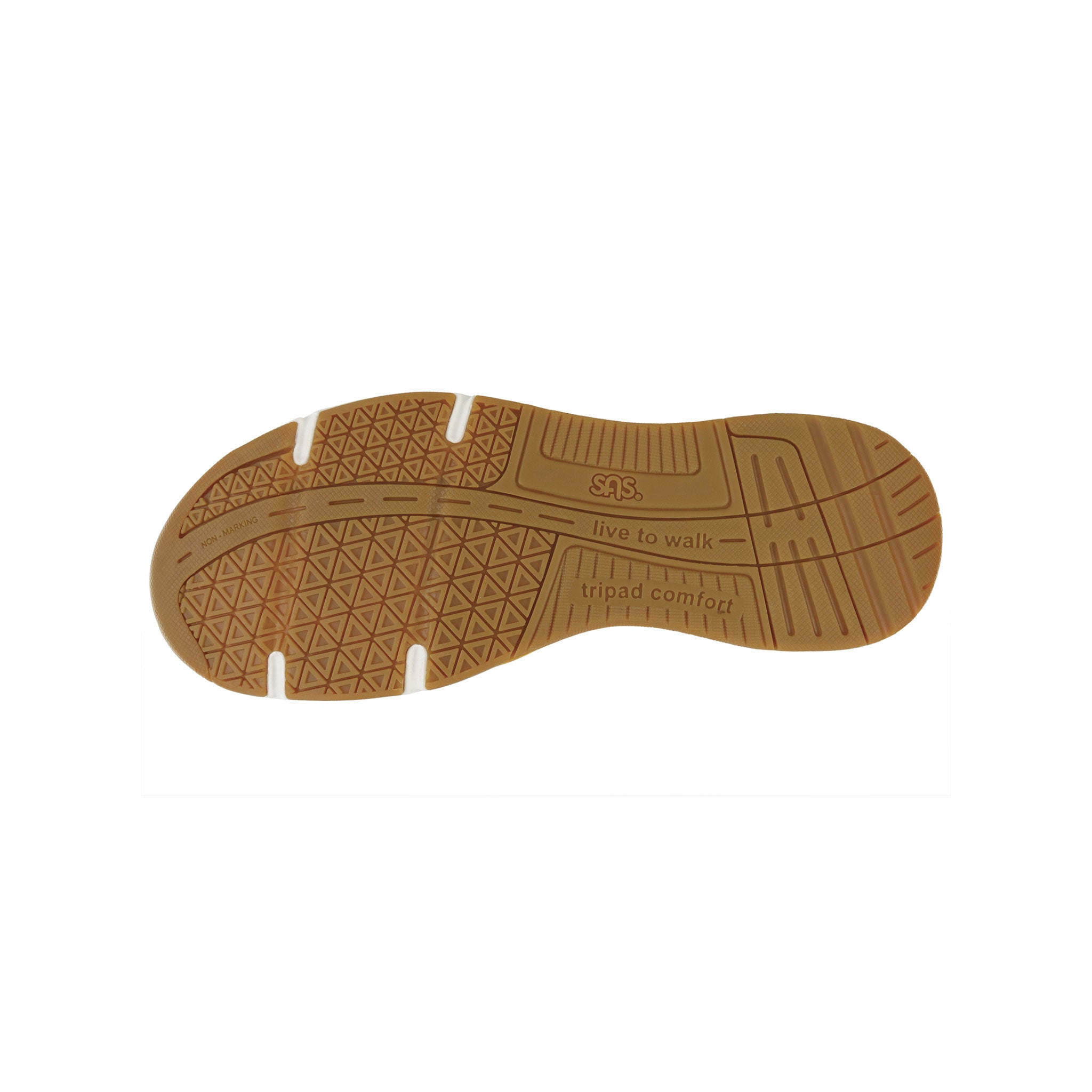 SAS | Tour Mesh Lago Vista